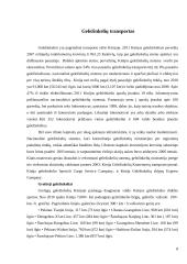 Kinijos transporto sistema 8 puslapis