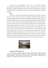 Kinijos transporto sistema 10 puslapis