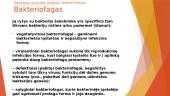 Eukariotiniai organizmai: Bakteriofagai 6 puslapis
