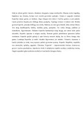 Altorių Šešėlyje ir Kuprelis aprašymai 3 puslapis