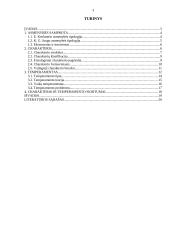 Asmenybės samprata. charakteris ir temperamentas 2 puslapis