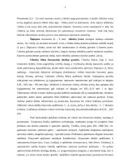Variklių cilindrų blokų ir įvorių remontas 3 puslapis