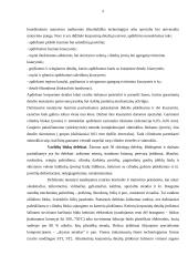 Variklių cilindrų blokų ir įvorių remontas 4 puslapis