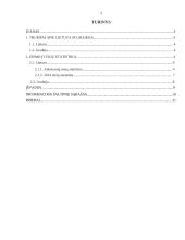 Eismo sauga (referatas) 2 puslapis