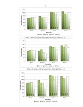 Eismo sauga (referatas) 12 puslapis