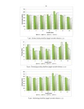 Eismo sauga (referatas) 13 puslapis