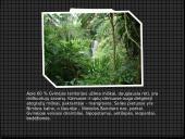 Gvinėjos Respublika 5 puslapis