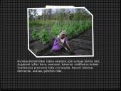 Gvinėjos Respublika 9 puslapis