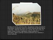 Gvinėjos Respublika 10 puslapis