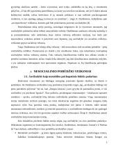 Savižudybė pagal E. Durkheimą 3 puslapis