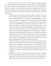 Savižudybė pagal E. Durkheimą 6 puslapis