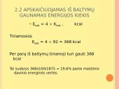 Mitybos raciono nustatymas 12 puslapis