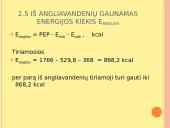 Mitybos raciono nustatymas 15 puslapis