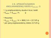 Mitybos raciono nustatymas 16 puslapis