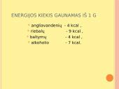 Mitybos raciono nustatymas 3 puslapis