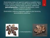 Basic facts about telecommunications 14 puslapis