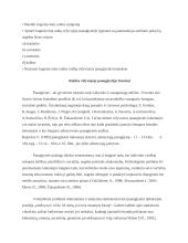 Kognityvinė raida paauglystėje 2 puslapis