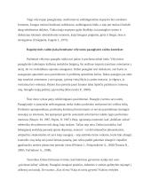 Kognityvinė raida paauglystėje 11 puslapis