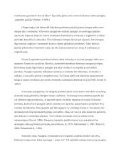 Kognityvinė raida paauglystėje 12 puslapis