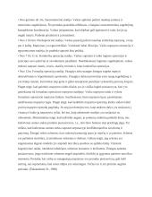 Kognityvinė raida paauglystėje 6 puslapis