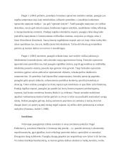 Kognityvinė raida paauglystėje 8 puslapis