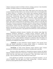 Kognityvinė raidos teorija 2 puslapis