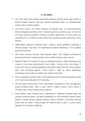 JAV makroekonomikos rodikliai 18 puslapis