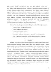 JAV makroekonomikos rodikliai 10 puslapis