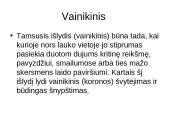 Išlydžiai 5 puslapis