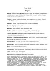 Skirgailos santrauka