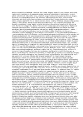 Skirgailos santrauka 2 puslapis