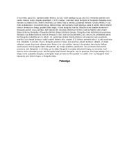 Skirgailos santrauka 3 puslapis