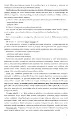 Viskas apie baudžiamąją teisę 4 puslapis