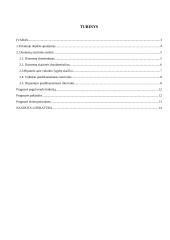 Statistikos namų darbas Lietuvos dujos 2 puslapis