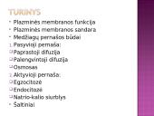 Medžiagų pernaša pro biologines membranas 2 puslapis