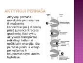 Medžiagų pernaša pro biologines membranas 18 puslapis