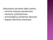 Medžiagų pernaša pro biologines membranas 19 puslapis