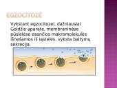 Medžiagų pernaša pro biologines membranas 20 puslapis