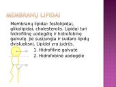 Medžiagų pernaša pro biologines membranas 5 puslapis