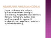 Medžiagų pernaša pro biologines membranas 7 puslapis