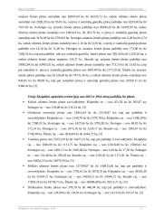 Žemės fondo tyrimas 17 puslapis