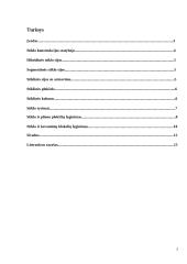 Stiklo konstrukcijos statyboje 2 puslapis