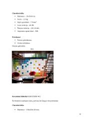 Stiklo konstrukcijos statyboje 10 puslapis