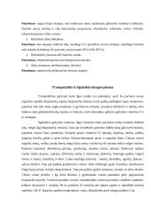 Žvynelinė 4 puslapis