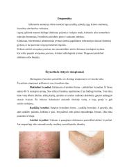 Žvynelinė 6 puslapis