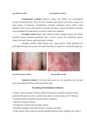 Žvynelinė 7 puslapis