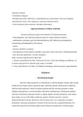 Žvynelinė 8 puslapis