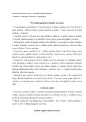 Žvynelinė 10 puslapis