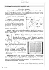 Skaitymo standartizuotas testas 6 puslapis