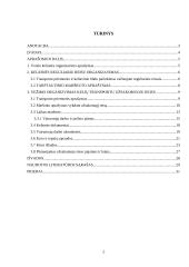 Keleivių vežimo organizavimas tarptautiniais maršrutais 2 puslapis